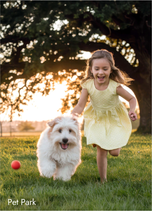 Pet Park