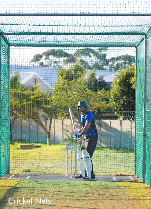 Cricket